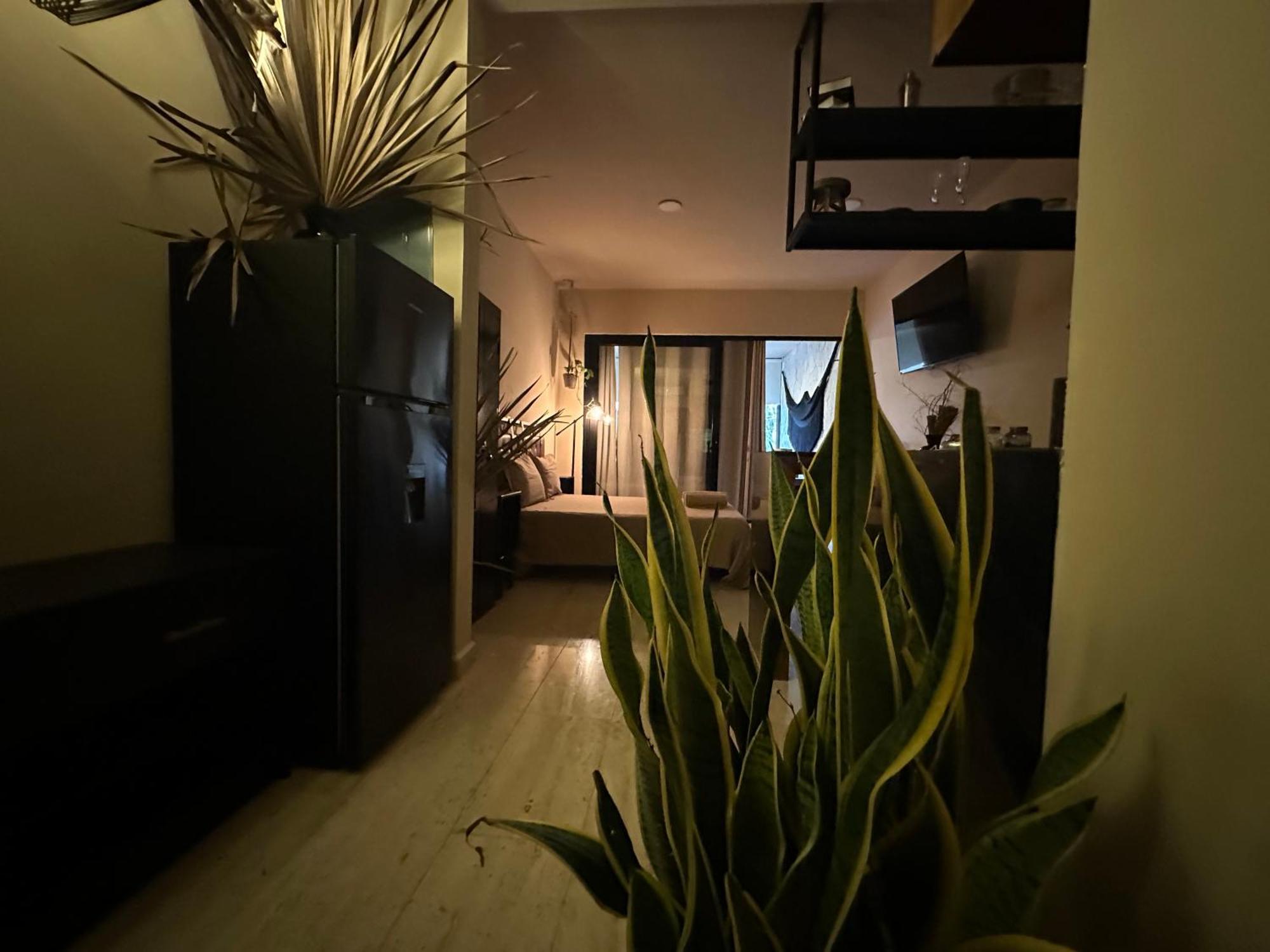 Naia Apartment